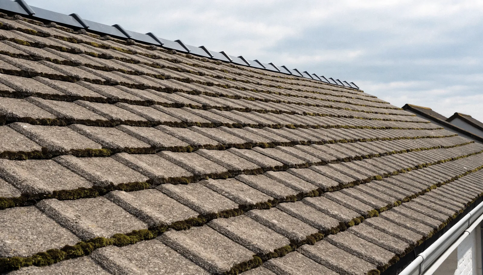 Concrete interlocking roof tiles with moss growing between the courses